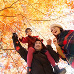 京都の紅葉を子連れで見に行きたい！おすすめ紅葉スポットとポイント