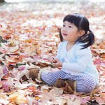 子連れ旅行で紅葉を見に行こう！おすすめのスポットや宿をご紹介
