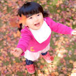 子連れで行ける近畿の紅葉スポット。大人も子どもも楽しもう!