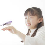 セキセイインコ飼育時の幼児とのお約束!飼いやすいインコの見分け方