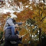 千葉の紅葉と子連れスポットの情報が満載!自然の中で家族と楽しむ