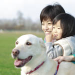 子どものお世話と犬のお散歩の時間はどうする?両立させるためのコツ