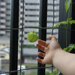 子どもが物をベランダから落として困る!危険性や安全対策のご紹介