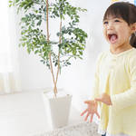幼児向けホビングリッシュを知っていますか？英語で学ぶ習いごととは