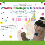 【4月15日〜5月15日限定】テニーとテーオお誕生月キャンペーン