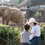 関東のおすすめの動物園は?赤ちゃんや子どもと動物園を楽しもう