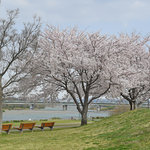 神奈川の公園を子どもと楽しもう!プールやバーベキューができる公園