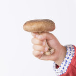 しいたけを上手に保存するには?保存方法や料理のアイデアを紹介