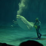 天気を気にせず遊べる島根の屋内施設!親子で楽しめるスポットを紹介