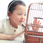 文鳥の飼い方を調べてみよう!お世話のポイントや飼育グッズ