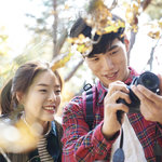 茨城へ夫婦で旅行に行こう!おすすめの観光スポットを紹介