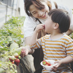 三重でアウトドアを楽しもう!子どもと一緒に自然を満喫しよう