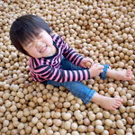 秋田で子どもとお出かけしよう!屋外から室内まで人気の遊び場