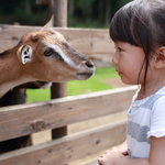 九州の動物園へ出かけよう！子どもと楽しむための注意点も紹介