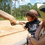 中国・四国地方の親子で楽しめる動物園！園ごとの特徴や魅力を紹介