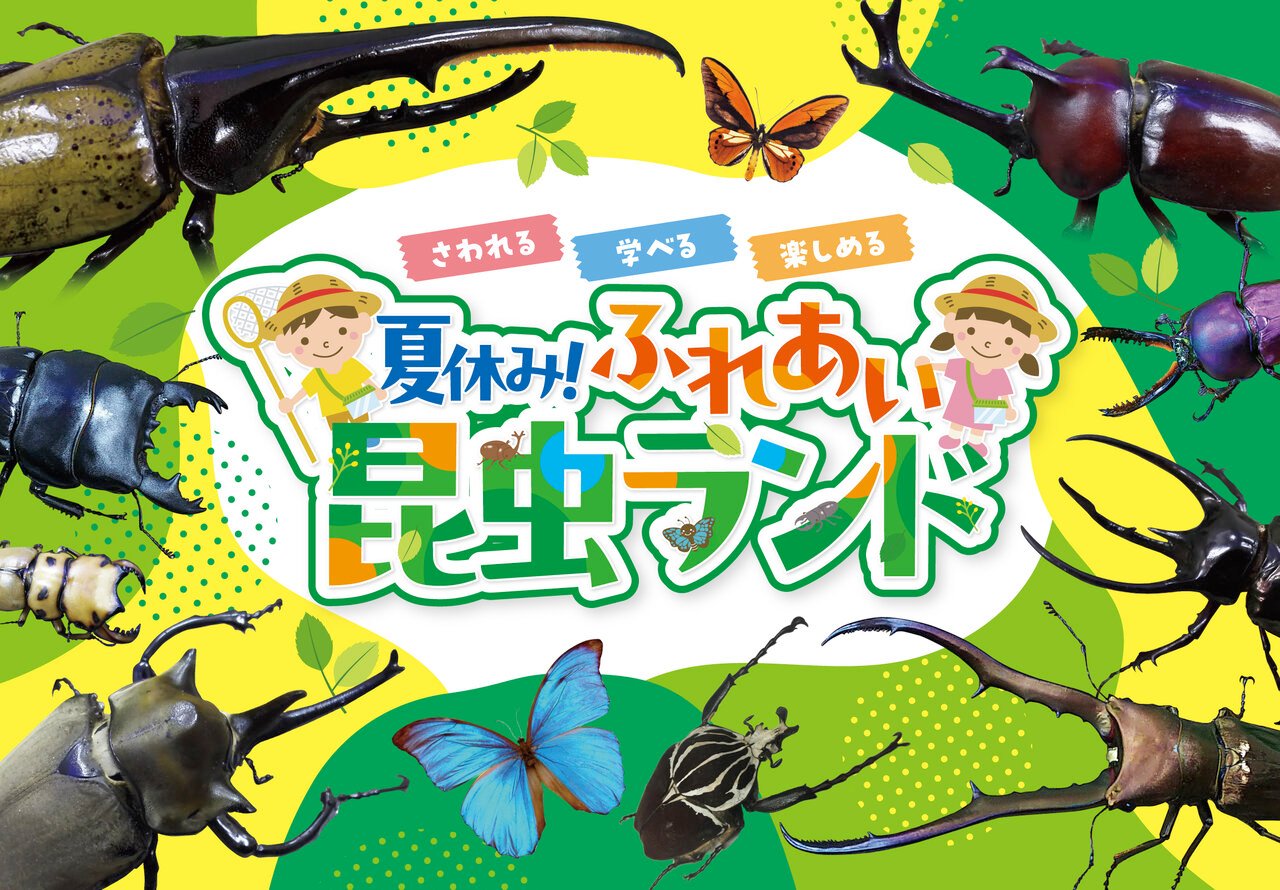愛知・星ヶ丘三越「夏休み!ふれあい昆虫ランド」