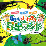 愛知・星ヶ丘三越「夏休み！ふれあい昆虫ランド」