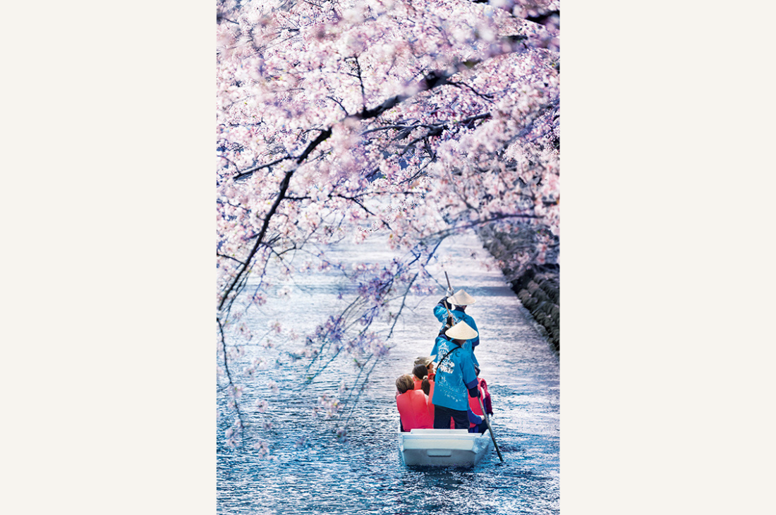 岐阜県大垣市にて今年も開催！船上から桜を眺める「水の都おおがき舟下り」