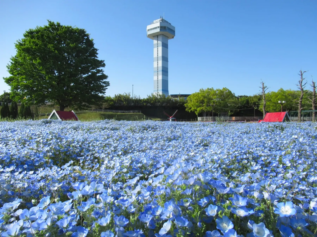 【岐阜】国営木曽三川公園　木曽三川公園センター「春の花物語」を開催
