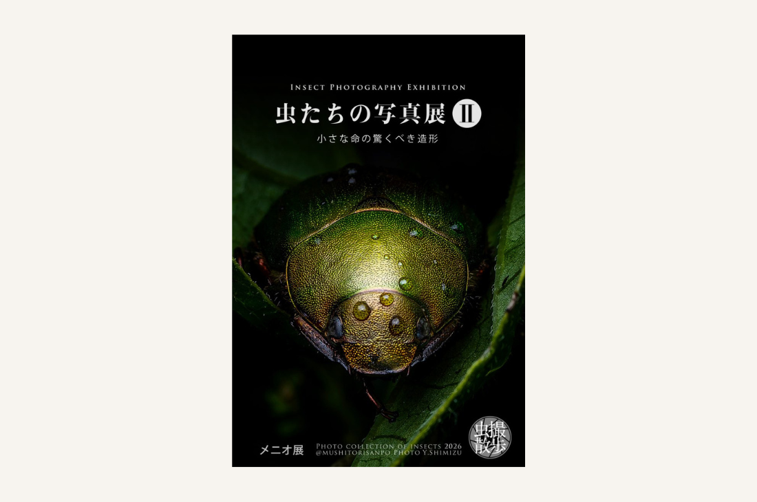 【愛知】虫好きさん必見！小さな命の美しさを感じられる「虫たちの写真展Ⅱ」開催