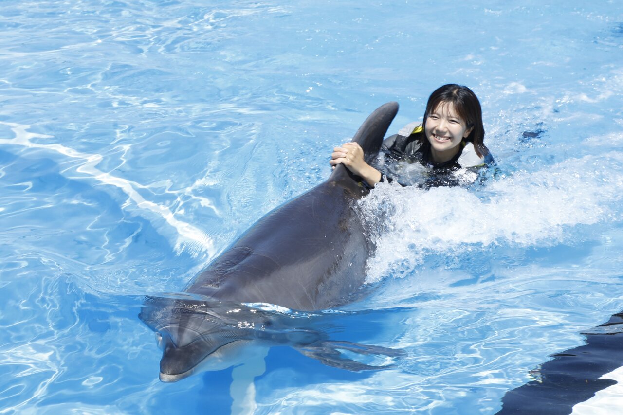 【愛知】大反響の“イルカと夢の水中遊泳”！南知多ビーチランドで今年も開催