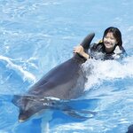 【愛知】大反響の“イルカと夢の水中遊泳”！南知多ビーチランドで今年も開催