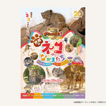 『劇場版ダーウィンが来た！世界のネコのなかまたち』2026年10月2日(金)公開決定