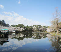埼玉県大宮公園