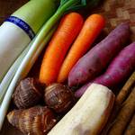 きれいになれる? 根菜に秘められた不思議な力