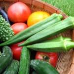 夏は野菜が美味しいね。夏のごちそう、おかずサラダを食べよう!