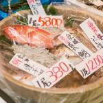 「おちゃらか」新しい日本茶の楽しみ方のご提案。