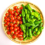 夏野菜をもりもり食べて夏バテ撃退!