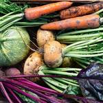 土地・風土の旨味がある。 知っておきたい日本の誇り、伝統野菜のこと。