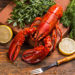 エビ+レモンの食べ合わせは要注意!?エビを食べるときに気をつけたいこと