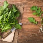 水菜にも赤や紫があった!カラフル野菜で年末年始の食卓を豪華に彩るテクニック