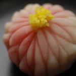情緒を感じる「菓銘」って知ってる?知っているとちょっと粋な和菓子の世界