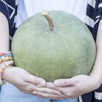 夏野菜なのに何で「冬瓜」なの?冬の字が入る理由と冬瓜のレシピ