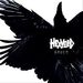 HEXVOID | Facebook
