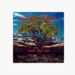 Fruit Will Rot by American Glutton on iTunes