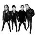 Metallica - Dear Metallica Family,It pains me to write... | Facebook