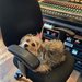 Faster Pussycat - The new Pussycat record is in good hands. | Facebook