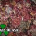 Nuclear Blast - CADAVER - D.G.A.F. (OFFICIAL LYRIC VIDEO) | Facebook
