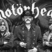 Motorhead Official Store– Motorhead Store