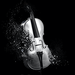 Apocalyptica - ホーム | Facebook