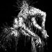 Marasmus - ホーム | Facebook