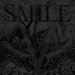 SAILLE Official Website