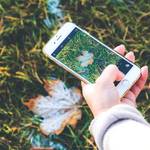 格安SIMでiPhone 8を使う方法を解説