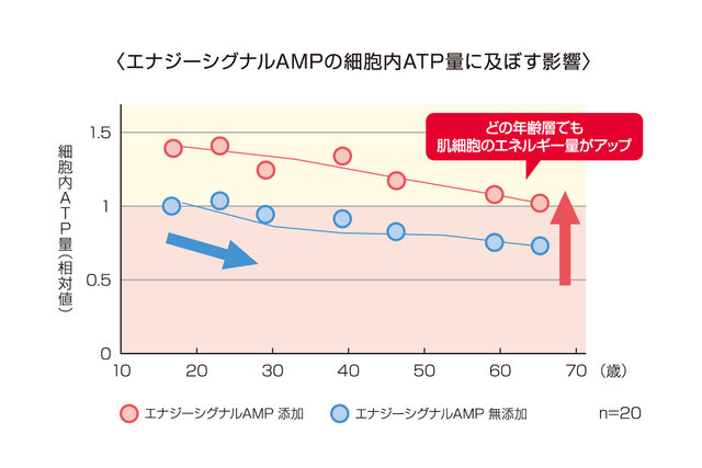エナジーシグナルAMPが及ぼす影響