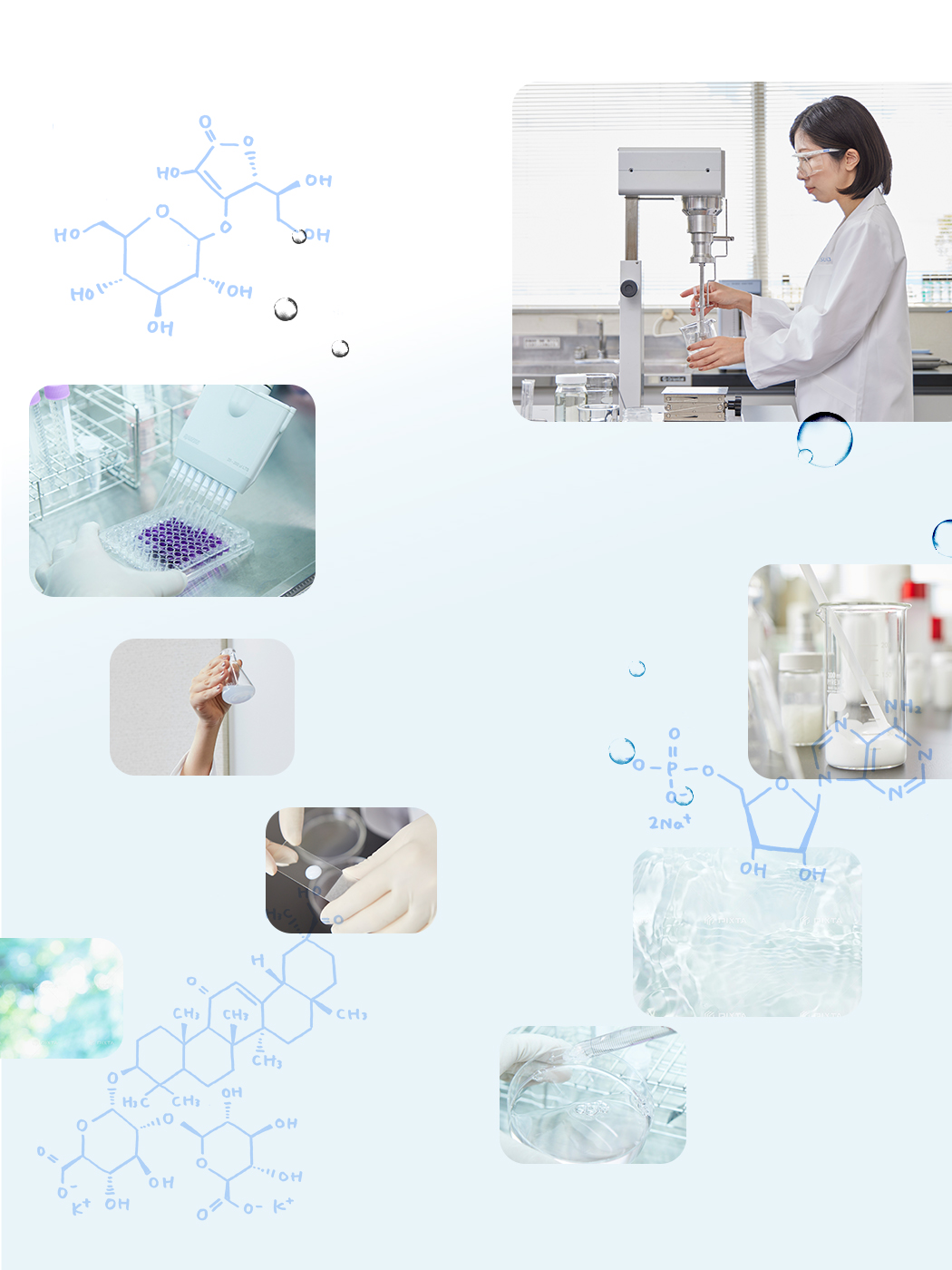 研究の様子