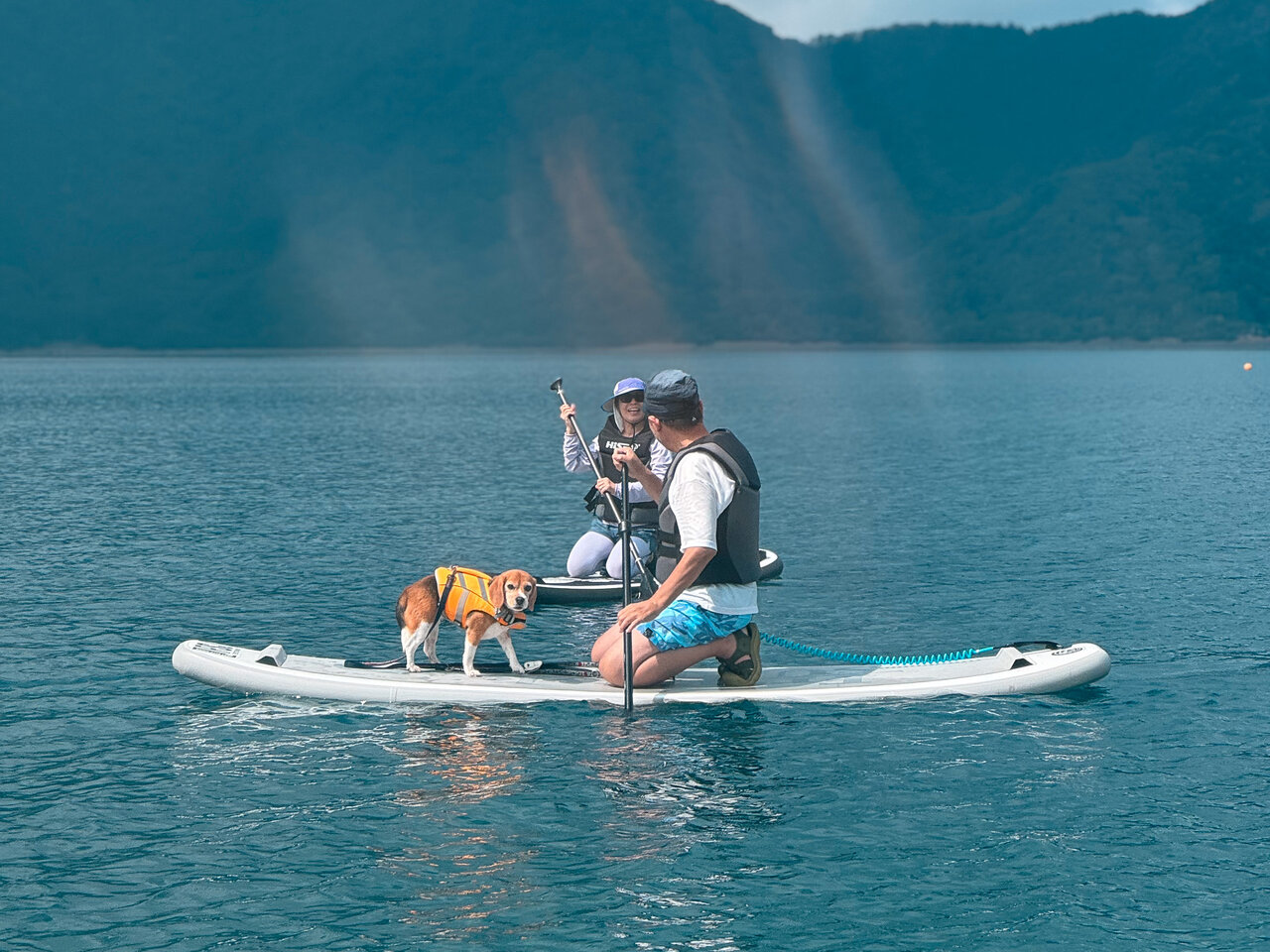 西湖で愛犬と一緒に過ごす特別な時間。貸切・オーダーメイドの水上ツアー「湖の上商店」がスタート
